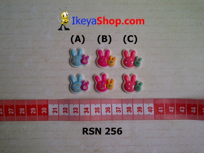rsn 256  large2